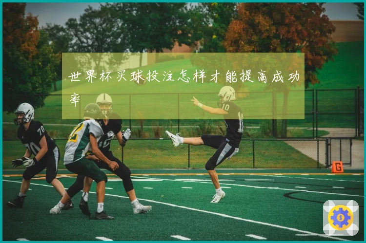 世界杯买球投注怎样才能提高成功率