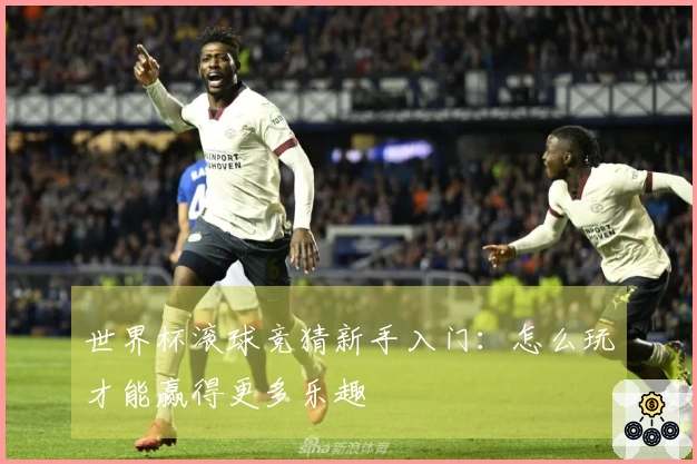世界杯滚球竞猜新手入门：怎么玩才能赢得更多乐趣