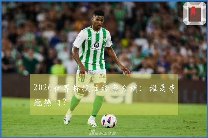 2026世界杯投注赔率分析：谁是夺冠热门？