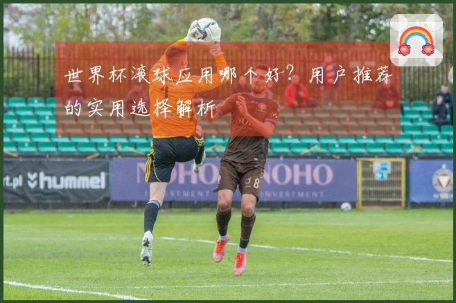 世界杯滚球应用哪个好？用户推荐的实用选择解析