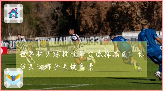 世界杯买球投注平台选择指南：你该关注哪些关键因素