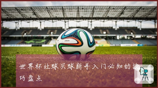 世界杯让球买球新手入门必知的技巧盘点