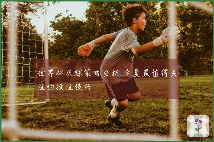 世界杯买球策略分析 今夏最值得关注的投注技巧