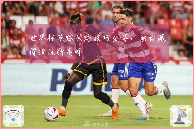 世界杯滚球买球技巧分享，助你赢得投注新高峰