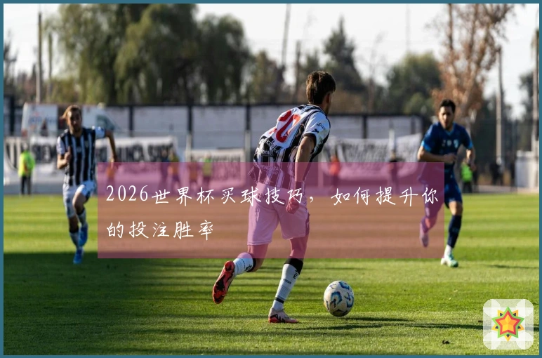 2026世界杯买球技巧，如何提升你的投注胜率
