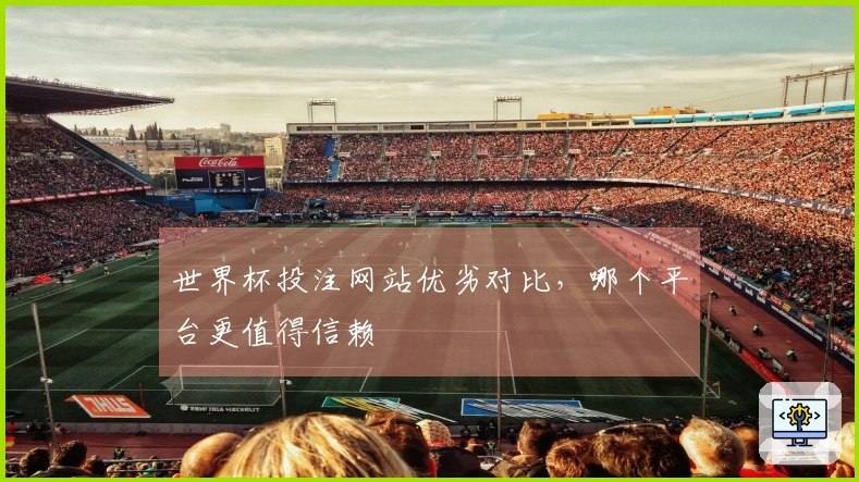 世界杯投注网站优劣对比，哪个平台更值得信赖