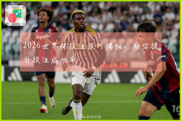 2026世界杯投注技巧揭秘，助你提升投注成功率