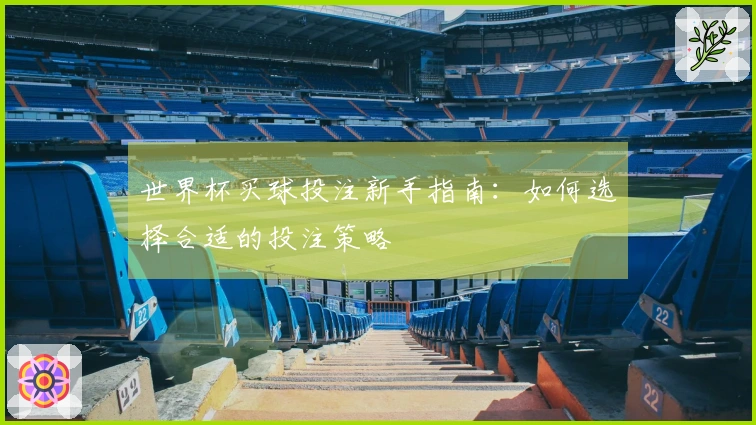 世界杯买球投注新手指南：如何选择合适的投注策略