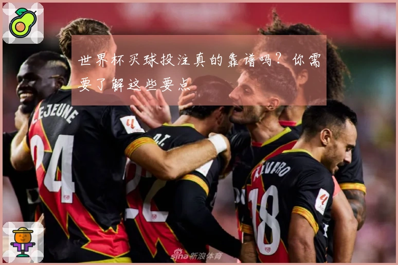 世界杯买球投注真的靠谱吗？你需要了解这些要点