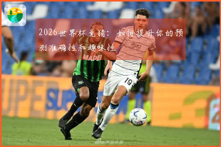 2026世界杯竞猜：如何提升你的预测准确性和趣味性