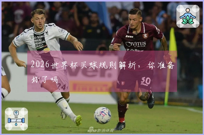2026世界杯买球规则解析，你准备好了吗