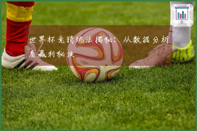 世界杯竞猜玩法揭秘：从数据分析看赢利秘诀