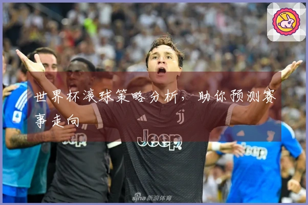 世界杯滚球策略分析，助你预测赛事走向