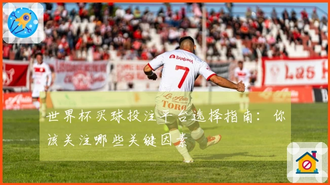 世界杯买球投注平台选择指南：你该关注哪些关键因素