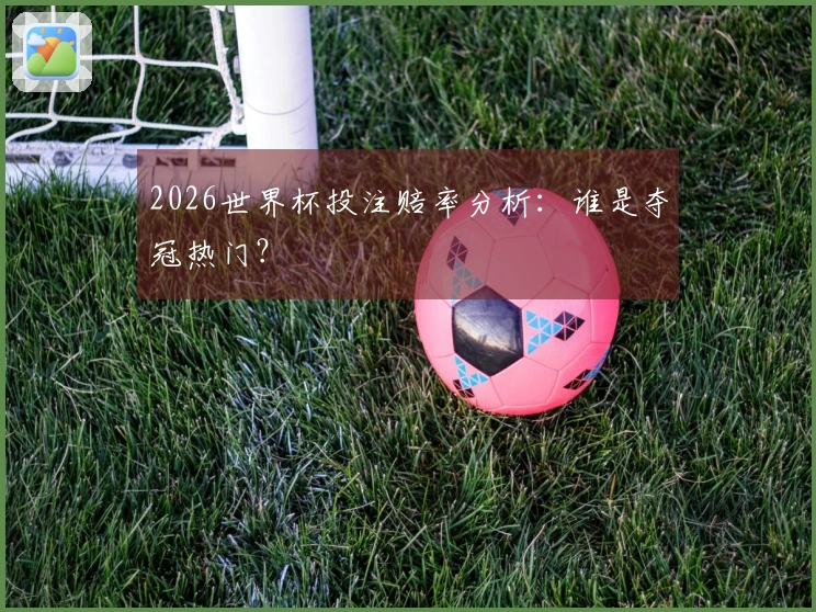 2026世界杯投注赔率分析：谁是夺冠热门？