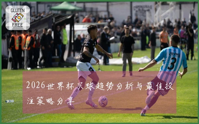 2026世界杯买球趋势分析与最佳投注策略分享