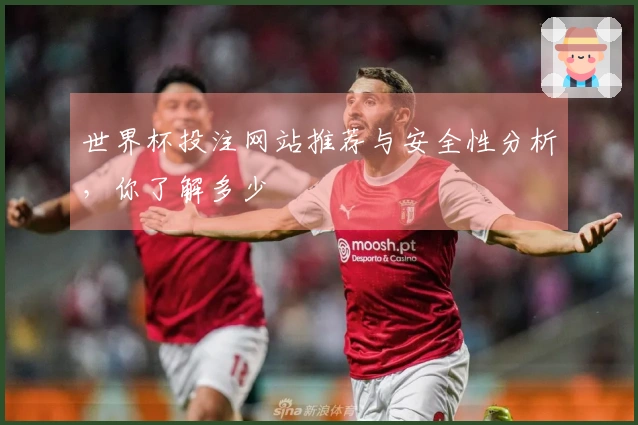 世界杯投注网站推荐与安全性分析，你了解多少