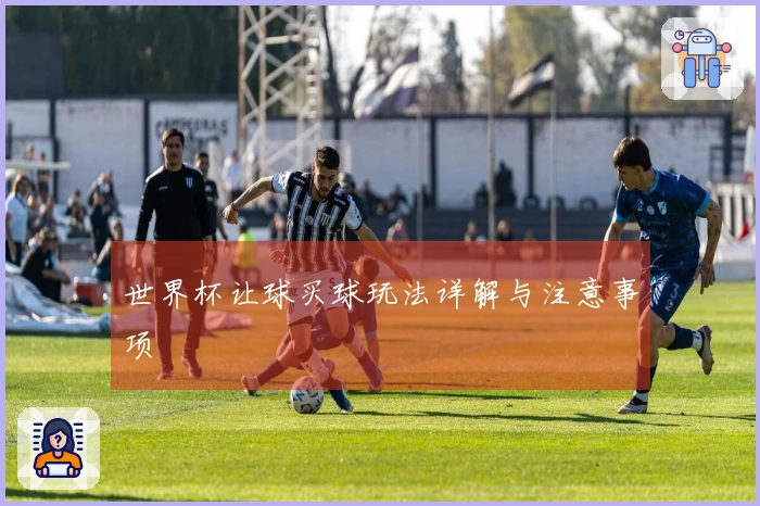 世界杯让球买球玩法详解与注意事项