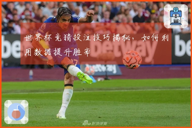 世界杯竞猜投注技巧揭秘，如何利用数据提升胜率