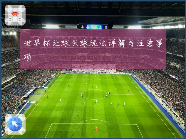 世界杯让球买球玩法详解与注意事项