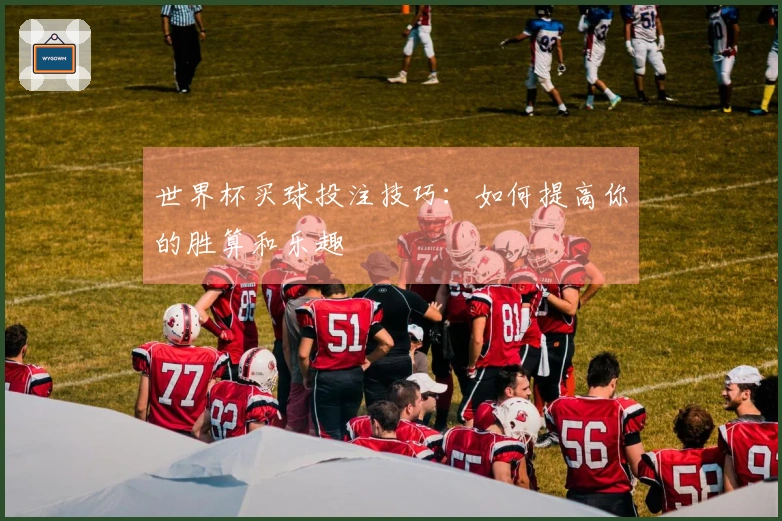 世界杯买球投注技巧：如何提高你的胜算和乐趣